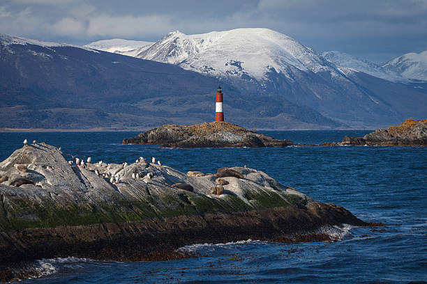 Lighthouse at the Beagle Channel in Patagonia, Argentina Lighthouse End of world in Beagle Channel, Ushuaia, Patagonia, Argentina tierra del fuego province argentina photos stock pictures, royalty-free photos & images