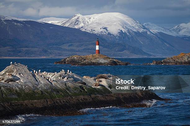 Lighthouse At The Beagle Channel In Patagonia Argentina Stock Photo - Download Image Now