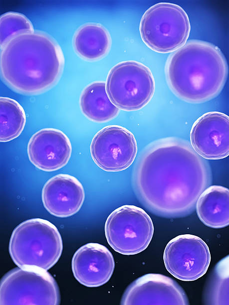 Generic cells in a blue background conceptual illustration of some cells amoeba photos stock pictures, royalty-free photos & images