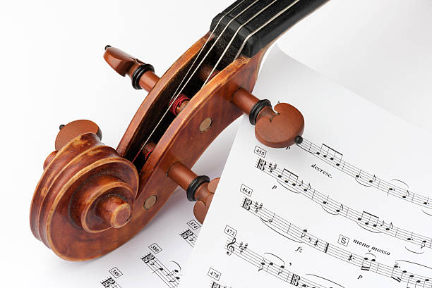 istock Violin Family 470640378