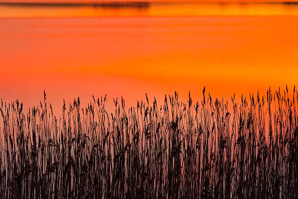 istock Beautiful lake with colorful sunset sky reflected in water. 470640562