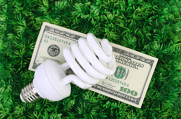 lâmpada fluorescente e dinheiro na relva - fluorescent light resourceful energy fuel and power generation imagens e fotografias de stock