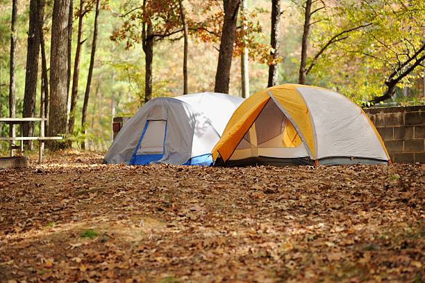 istock Small dome camping tents in campsite 470641976