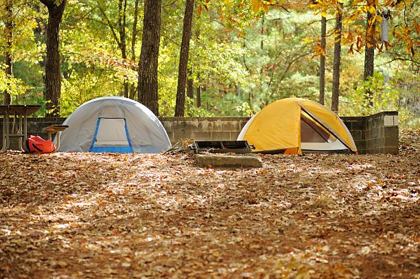 istock Two small dome tents in campsite 470642046