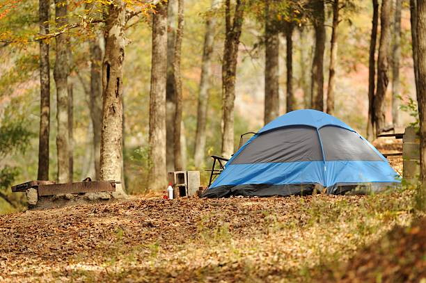 istock Blue dome camping tent in woods by fire pit 470642062