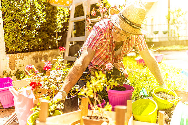 istock Senior man gardening 470642168