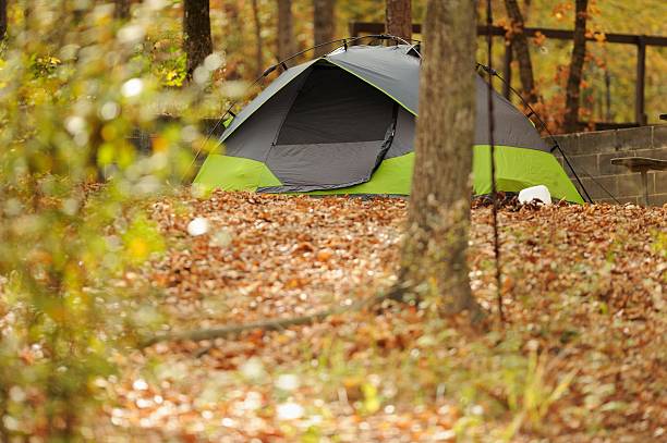 istock Green and gray dome tent in woods 470642216