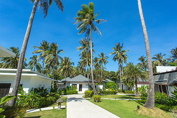 istock Beautiful tropical resort bungalows under the palm trees 470642844