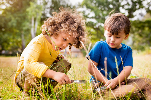 Clever little boys learning about nature by using a magnifying glass in a park