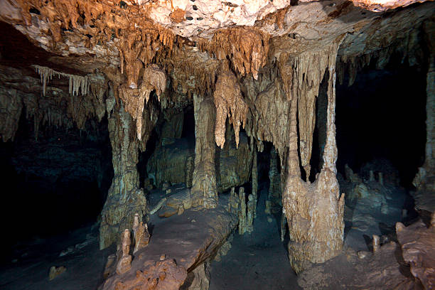 istock Cenote - Underwater Cave in Mexico 470644119