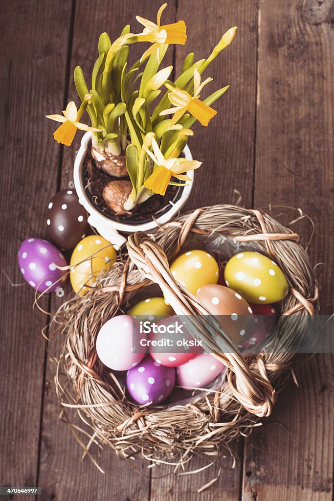Easter eggs in basket Colorful polka dot eggs in basket and daffodil flowers Animal Markings Stock Photo