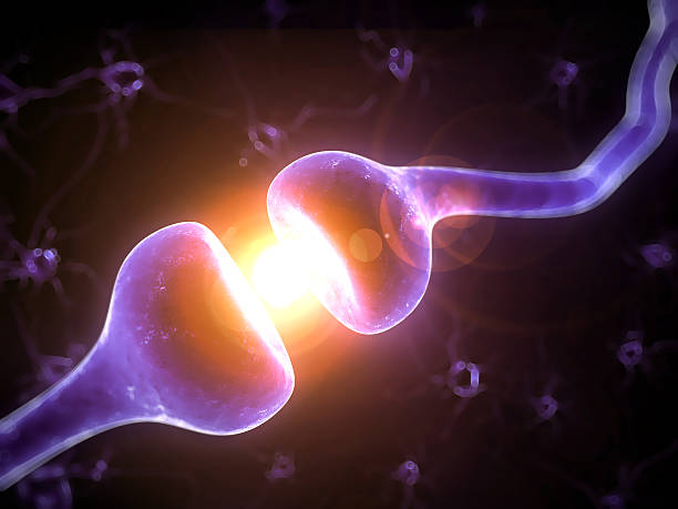 istock Depiction of active receptors at work  470647917