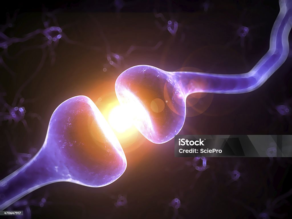 receptor de activa - Royalty-free Anatomia Foto de stock