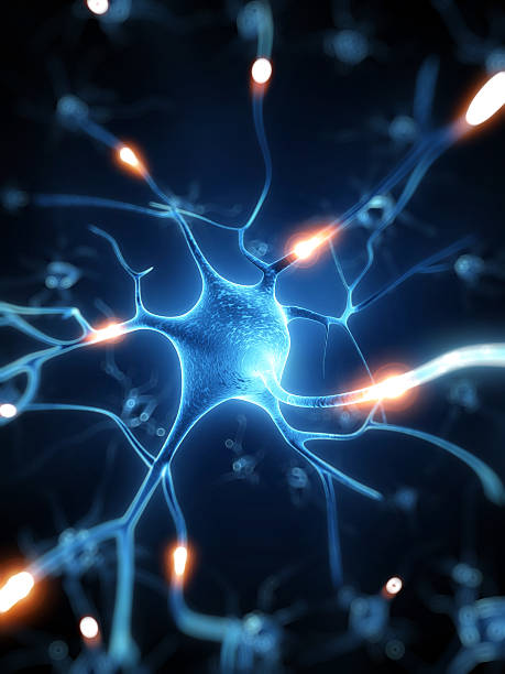active nerve cell illustration stock photo