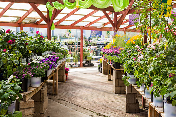 Nursery filled with various colorful flowers stock photo