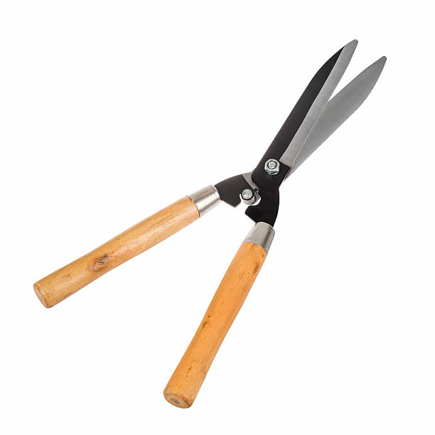 istock gardening scissor isolated 470649590