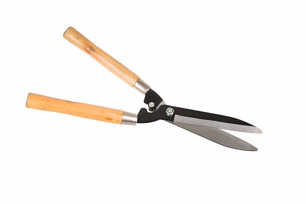 istock pair of garden shears 470649594