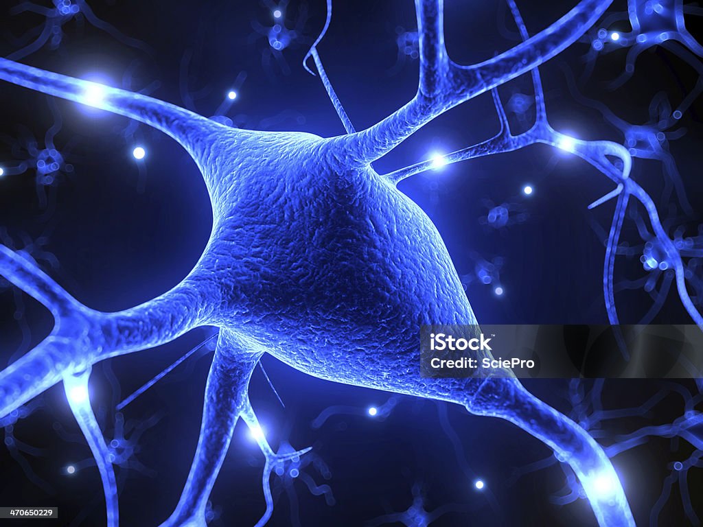 Aktive Nervenzelle Illustrationen - Lizenzfrei Anatomie Stock-Foto