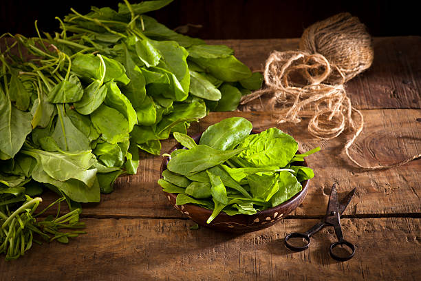 Fresh spinach stock photo