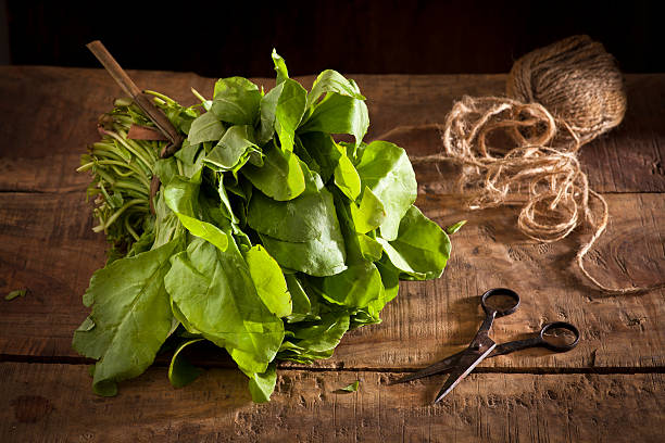 Fresh spinach stock photo