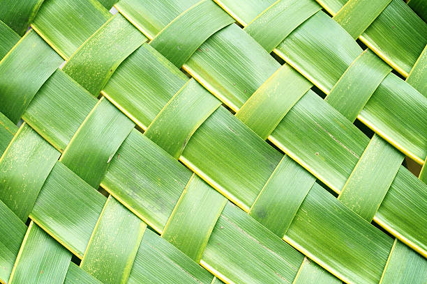 istock Zigzag interlocking of coconut leaves weave 470652068