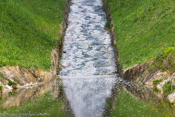Stream in Kgaswane Mountain Reserve, Rustenburg.