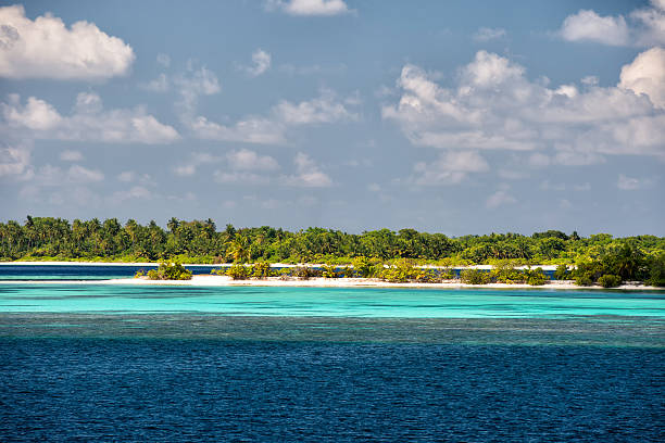 istock maldives tropical paradise beach crystal water coconut tree island 470659942