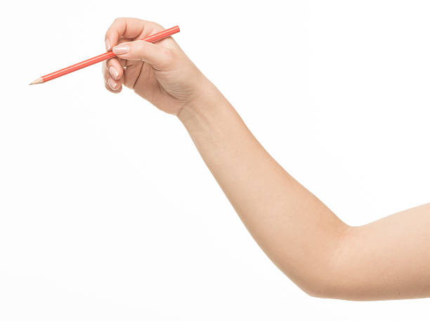 istock Female hand holding a pencil 470660110