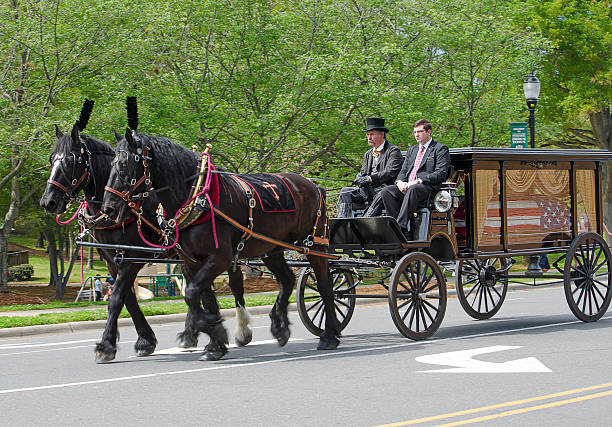 Horses on the streets of Manhattan, New York city. Tourists' attraction. Columbus Circle. Photographed on 02/12/22