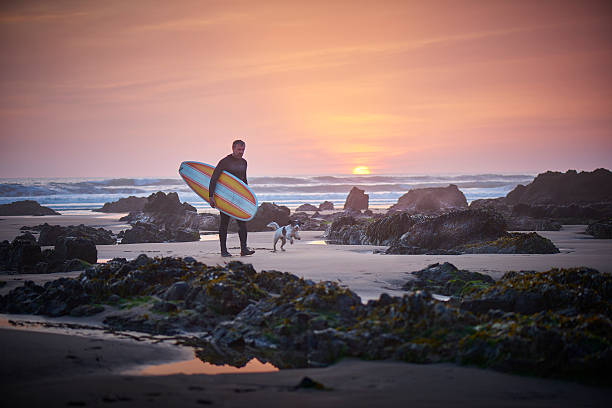 a mature man walks away from the sea at sunset  carrying his mini mal surfboard after a day's surfing . The sun is setting on the surf horizon . The sandy beach is changing into jagged rocks with seaweed on . A small dog runs alongside him on the beach .