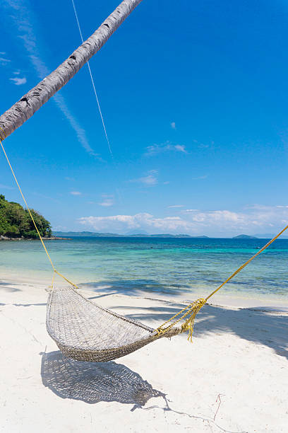 istock Hammock on a tropical paradise island 470668654