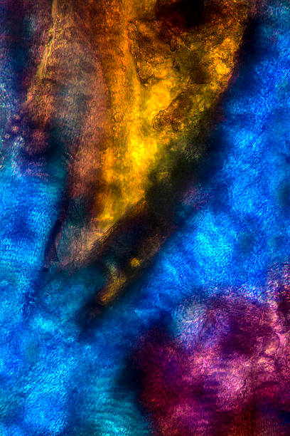 Abstract micrograph of muscle from a bumble bee.