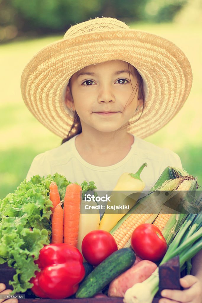 Cosecha de hortalizas frescas de verano. - Foto de stock de 4-5 años libre de derechos