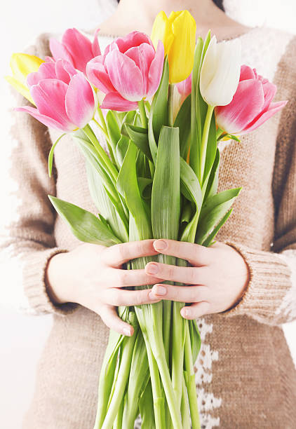 istock Female hands holding beautiful colorful tulips 470669722