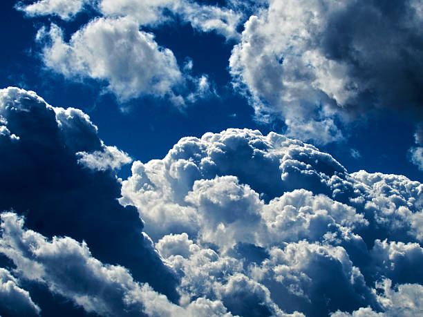 Clouds Trees White and blue Stromy clouds earth's atmosphere stock pictures, royalty-free photos & images