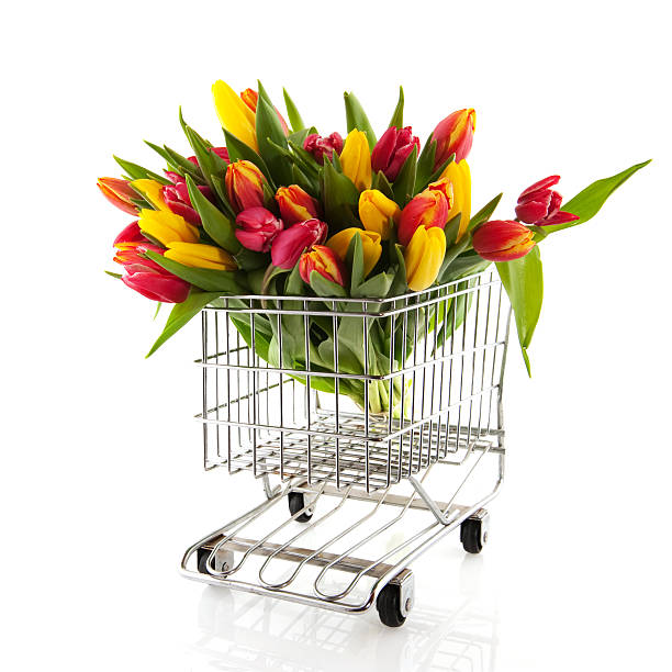 istock Mixed Bunch of Colours Tulips 470679012