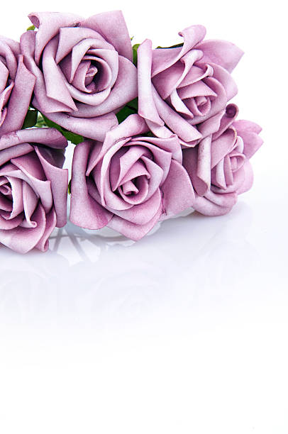 istock bouquet of purple roses on a white background 470679788