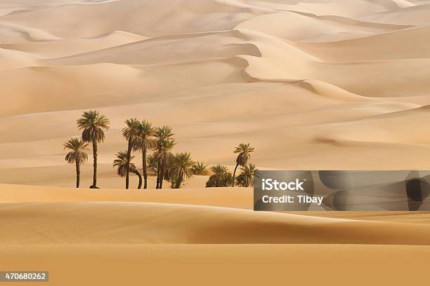 Sahara Desert Stock Photo - Download Image Now - Desert Oasis, Desert Area, 2015