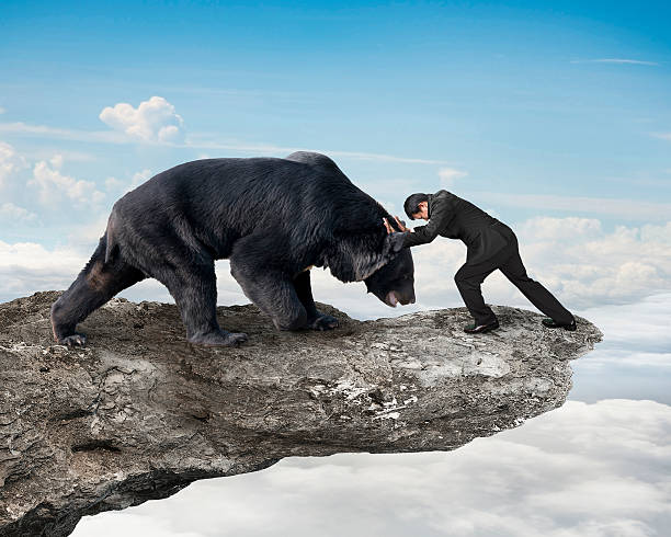 Businessman fighting against black bear on cliff with sky clouds stock photo