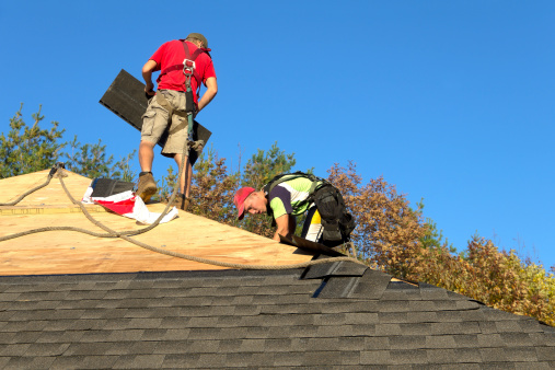 Two roofers installing sphalt shingles during new residential house construction. Shown wearing proper safety harness.