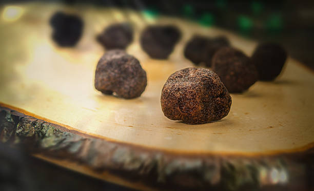 istock mushrooms black truffle on a blurred background 470684982