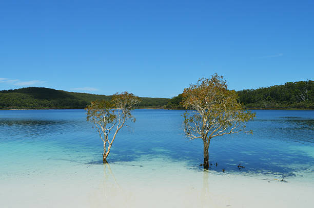 A Freshwater lake on the world's biggest sand island, Fraser Island, located on the east coast of Australia.