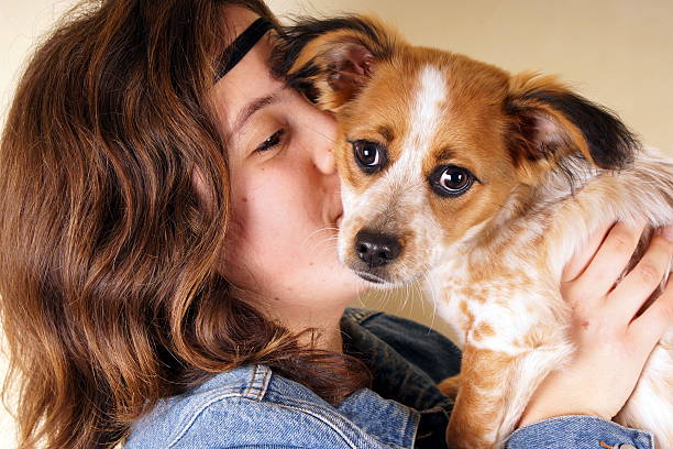istock Studio shot of a young lady holding a little dog 470686042