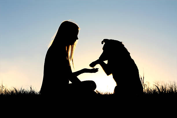 donna e il suo cane silhouette agitano le mani - christin foto e immagini stock