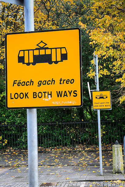istock Yellow and Black Look both ways sign 470698120