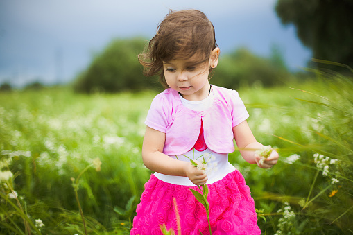 beautiful carefree girl playing outdoors in field with high green grass. little child picking up wild flowers