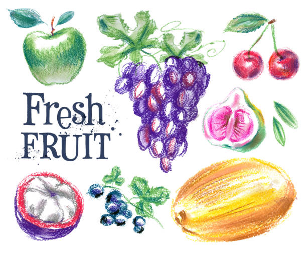 ilustrações, clipart, desenhos animados e ícones de frutas frescas vetor logotipo design template. maduros comida ou harvest - cherrywood