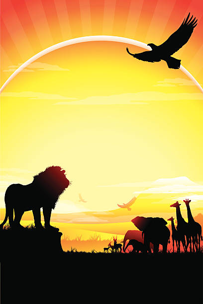 illustrations, cliparts, dessins animés et icônes de african lion, des éléphants, des girafes et des silhouettes antelopes safari contre le kilimandjaro - savane africaine
