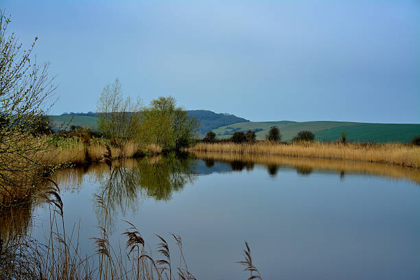 istock Reflections of Trees, Reeds and Hillside 470711536