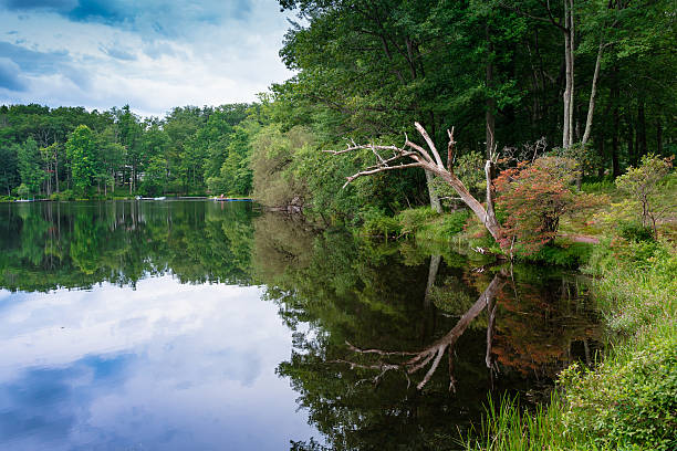 Serene reflective lake in the Pocono Mountains stock photo